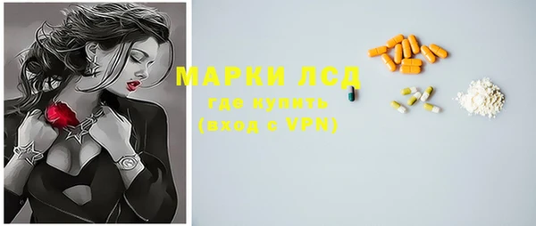 молекула духа Арсеньев