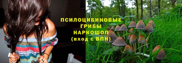 сатива Армянск