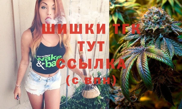 молекула духа Арсеньев